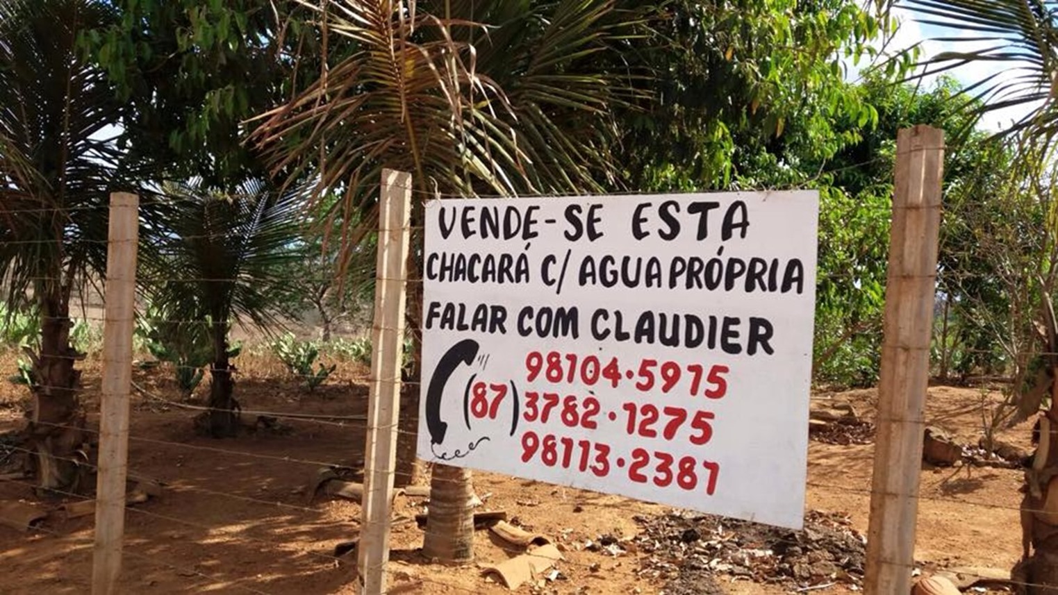 10440966_947461188652782_2912933397772942762_n_thumb