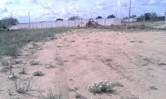 10487302_776557322409837_1560765746682195897_n