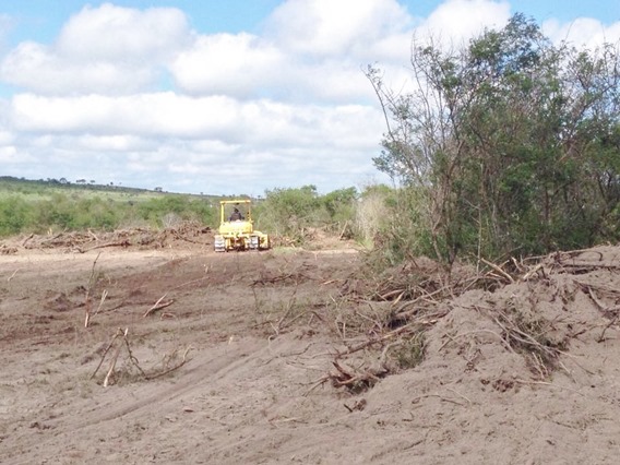 11698567_867107713354797_1429369955248716257_n