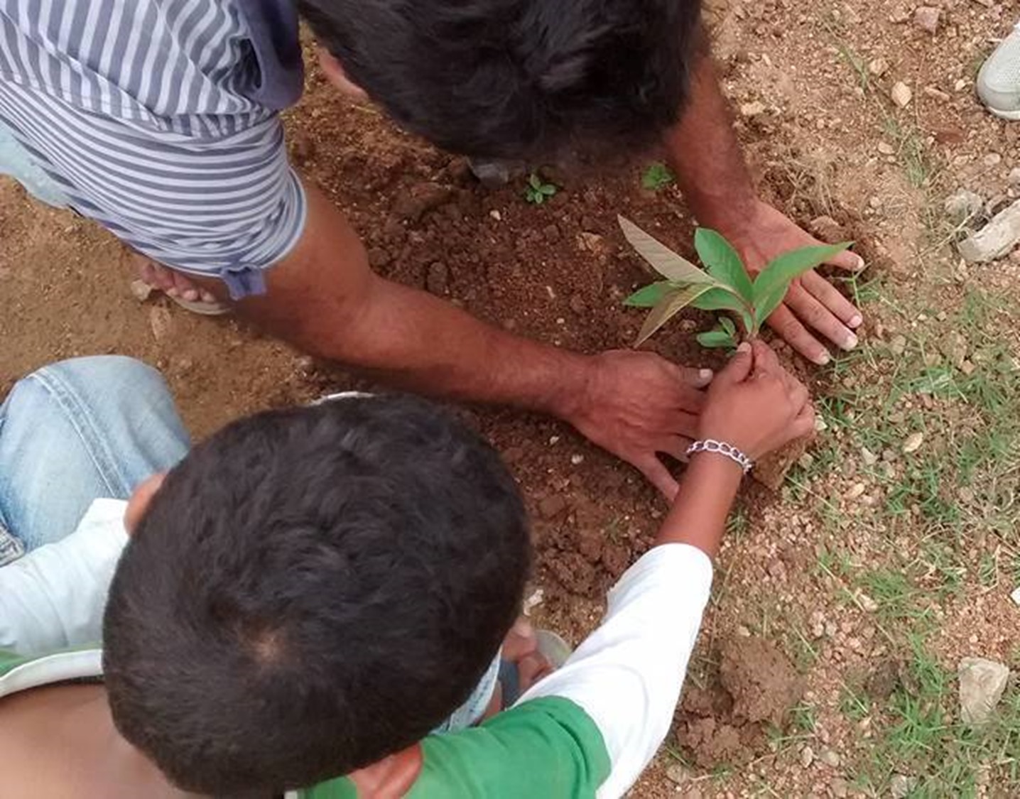 13343003_1609724319318641_6448132161680516803_n