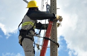 14469441_1115868411812058_5887305282367283013_n