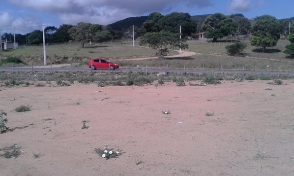 1461319_773087026090200_8673322023437471881_n