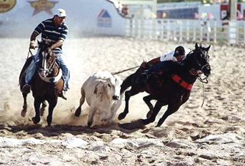 16684090_10212281372849892_6634444275160302593_n