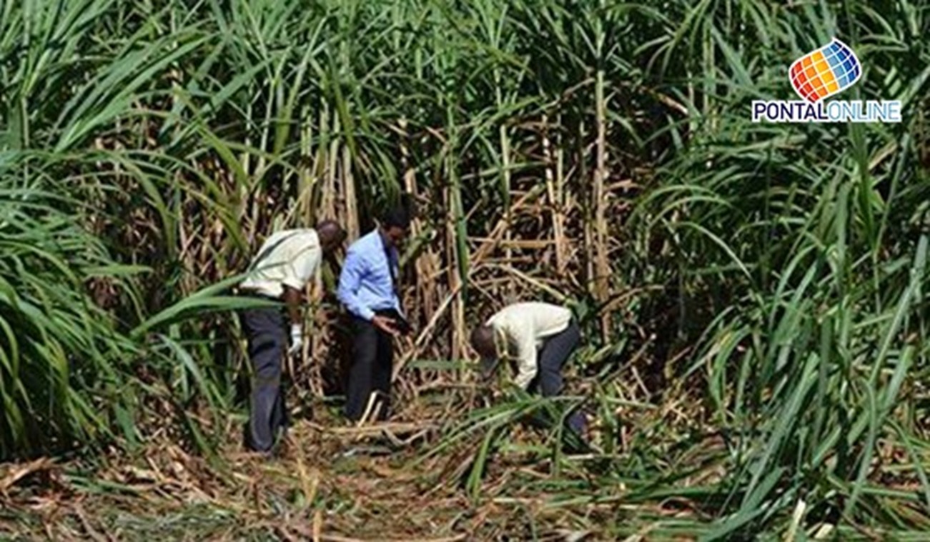 17265110_1286708478061383_1187902816954589986_n