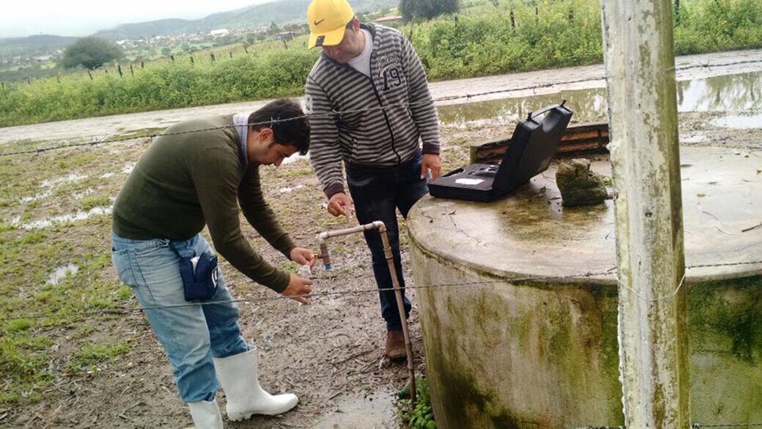 20429777_1420962697969293_3894033182358094570_n