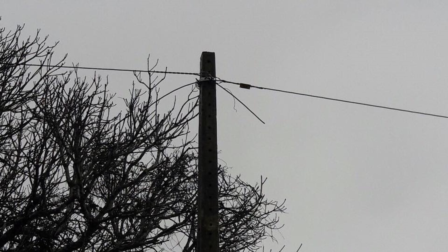 20431324_1418680071530889_1048762603156667392_n