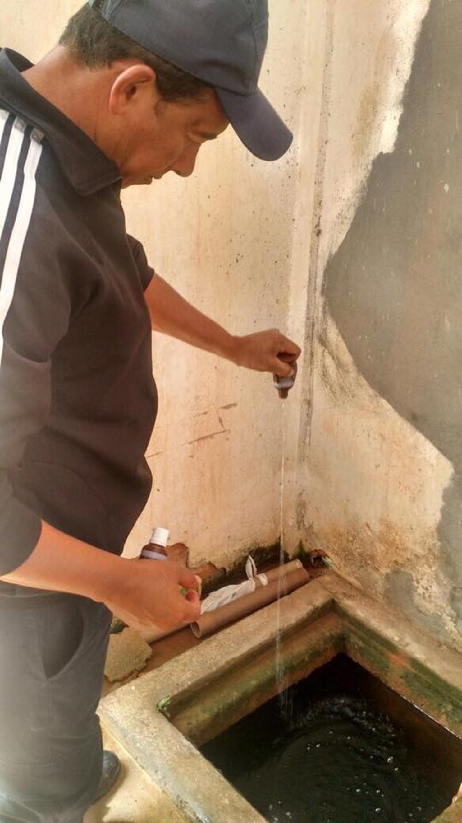 20479970_1420962581302638_7024359346058793020_n