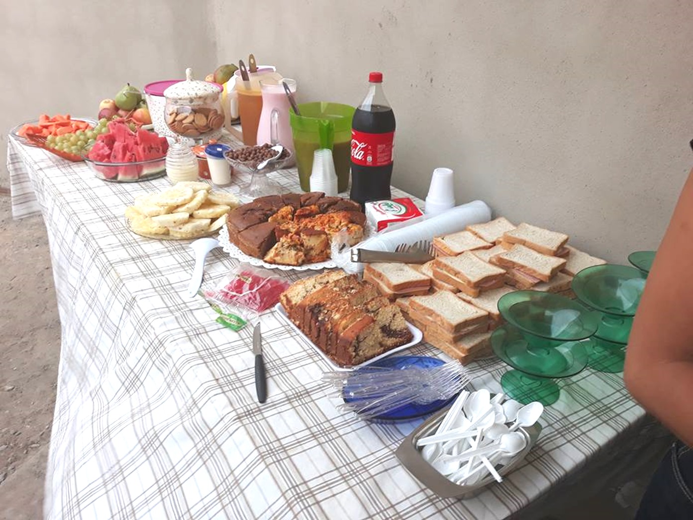 23231688_1482621158460456_2288021863065571058_n