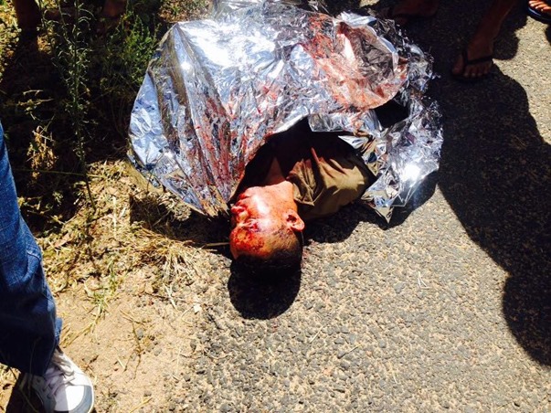 960214_783909278341308_477565724791745212_n