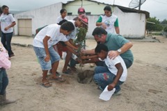 ARBORIZA&Ccedil;&Atilde;O - 04