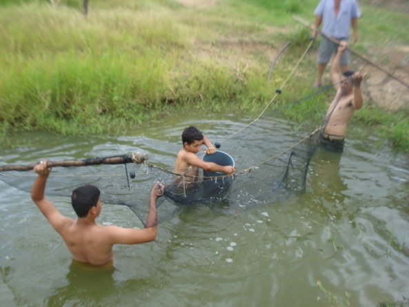Camaratuba2
