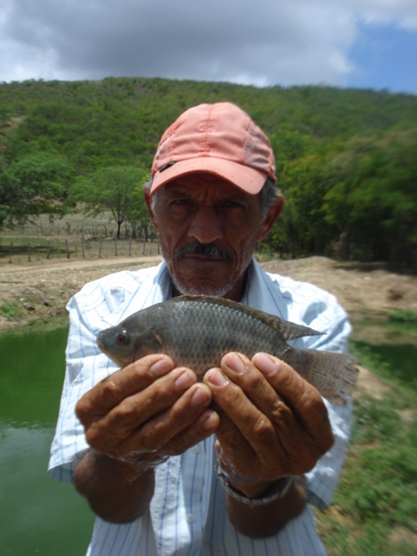 Camaratuba4