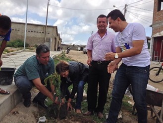 dIA da &Aacute;rvore