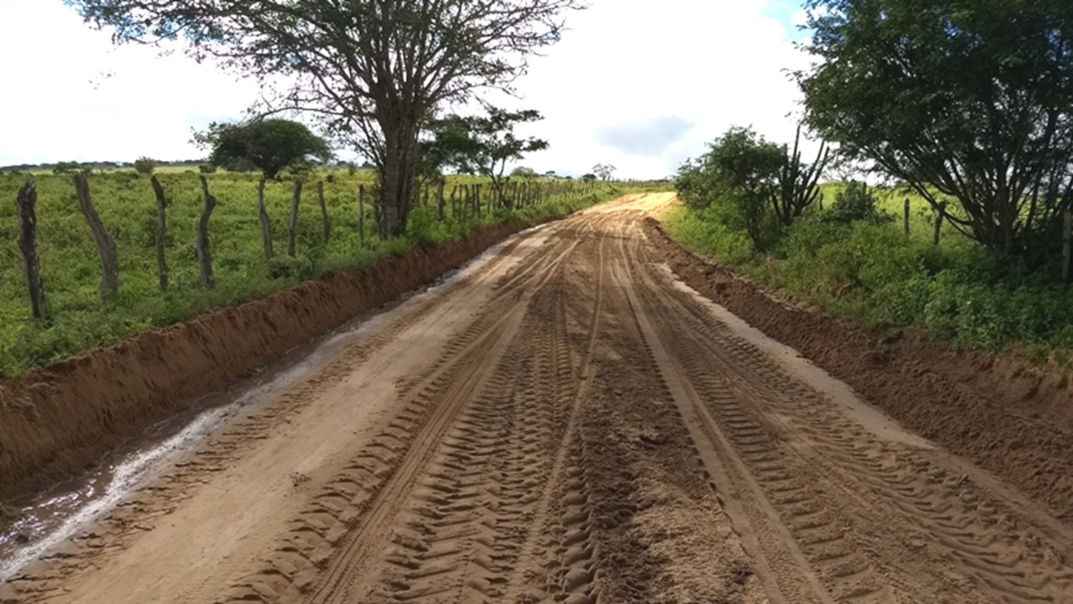 IMG_20170803_083204976