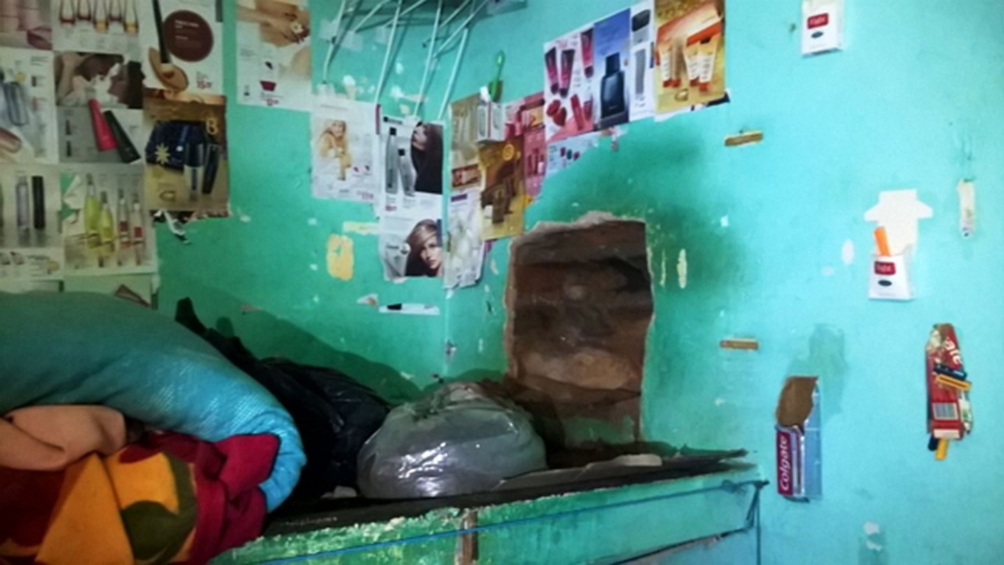 michele vieira saloa