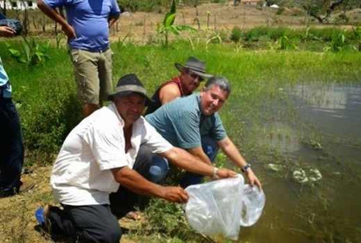Peixes da Camaratuba
