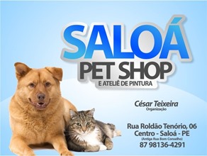 pet-shop_455f4ecc4eff7e5ce7a44af328aee982